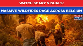 Wildfires Rage Across Belgium & Greece As Massive Blaze Engulfs Island Of Salamina | Scary Visuals