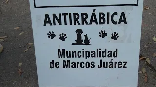 Marcos Juárez: Rabies vaccination in the city