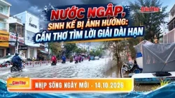 Flooding and livelihood impacts: Can Tho seeks long-term solutions | New Day Rhythm | 10/14/2026