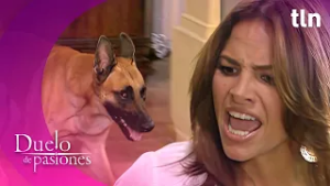 Thelma manda matar al perro de Alina | Duelo de pasiones Capítulo 52 (Parte 2) | tlnovelas