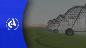 Illizi: Augmentation des surfaces cultivées dédiées aux culture stratégiques