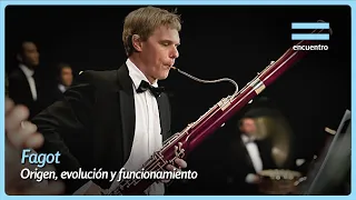Bassoon: Origin, Evolution and Functioning 🎵| Ensembles | Encounter