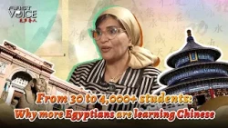 Why more Egyptians are learning Chinese