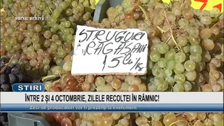 OCTOBER 2-4, HARVEST DAYS IN RÂMNIC!
