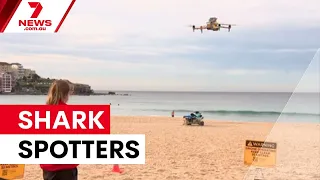 Shark drones expanded across NSW beaches for summer | 7NEWS