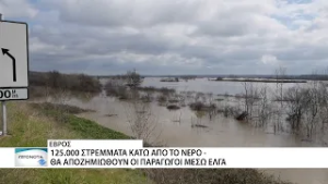 ΕΛΓΑ: 120.000 στρέμματα αγροτικών καλλιεργειών έχουν πληγεί στον Έβρο από τις πλημμύρες