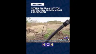 Drought havoc sparks concern in the Honduran countryside
