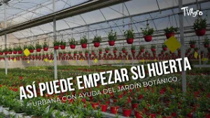 Así puede empezar su huerta urbana con ayuda del jardín botánico - TvAgro por Juan Gonzalo Angel