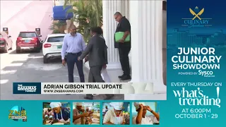 Adrian Gibson Trial Update