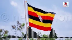 Ekirya Atabaala: Uganda obugubi bweyayitamu okufuna obwetwaze, ebirungi n’ebisomoozo ebyaddirira