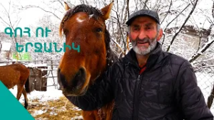 Էս սհաթիս գնամ Լեքսուս առնեմ,փողի խնդիր չկա, բայց ձիերիցս կարում չեմ կտրվեմ: Գևորգի մաքուր աշխարհը