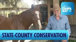 Polk County, State Partner to Protect Nearly 1,000 Acres from Development