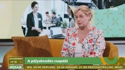 A pályakezdés csapdái – Mozaik