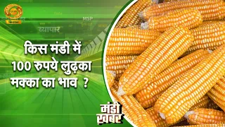 Mandi Khabar: Which market saw maize prices drop by 100 rupees? | DD Kisan | 06/25/2026