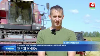 Аграрии Гомельщины намолотили 560 000 тонн зерна