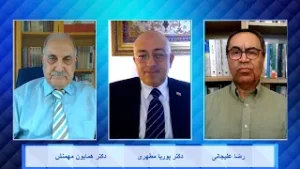 Jebh Meli   08 16 24 سازمانهای جبهه ملی ایران در خارج از کشور