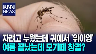 "The weather's so nice~" Mosquitoes are back, attacking autumn nights 'at twice the rate' / KNN