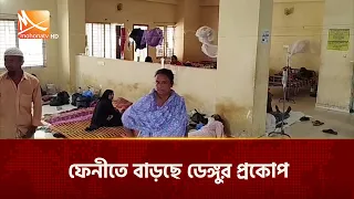 ফেনীতে বাড়ছে ডেঙ্গুর প্রকোপ | Mohona TV