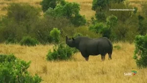 Unlock South Africa’s Visual Heritage | SABC Archives Now Available for Licensing