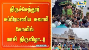 திருச்செந்தூர் சுப்பிரமணிய சுவாமி கோவில் மாசி திருவிழா வெகு விமர்சையாக நடைபெற்றது #rajnewstamil