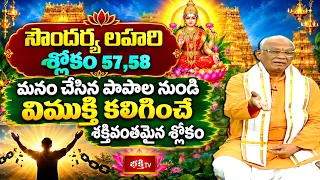 సౌందర్య లహరి శ్లోకం 57,58 మనం చేసిన పాపాల నుండివిముక్తి కలిగించే శక్తివంతమైన శ్లోకం Soundarya Lahari