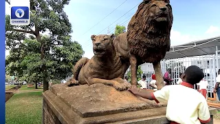 How Old Tradition Helps Protect Nature Today + More | Eco Africa