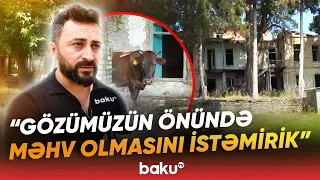 "O düşən kərpiclər sanki qızıldır" | Xanın xatirəsini yaşadan saray niyə bu haldadır? - Baku TV