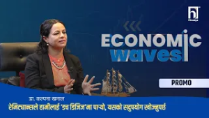 रेमिट्यान्सले हामीलाई ‘डच डिजिज’मा पार्‍यो, यसको सदुपयोग खोज्नुपर्छ  | PROMO