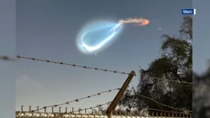 Mysterious 'jellyfish' cloud, a battle over beavers & a heartwarming reunion | The Forecasters