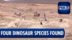 New dinosaur fossils discovered in southeastern Utah