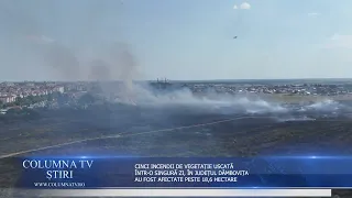 FIVE DRY VEGETATION FIRES IN A SINGLE DAY IN DÂMBOVIȚA COUNTY