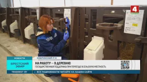 НА РАБОТУ – В ДЕРЕВНЮ