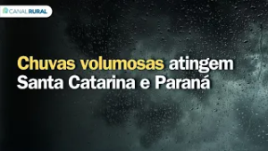Chuvas volumosas atingem Santa Catarina e Paraná | Previsão do tempo | Sul