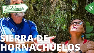 Destino Andalucía | From the Enchanted Forest to zip-lining: The Hornachuelos adventure