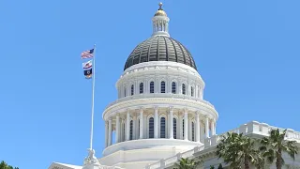 California bill seeks to limit mental health diversion for high-risk offenders | To The Point