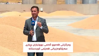 وەرگرتنی هەموو گەنمی جووتیاران بڕیاری سەرۆکوەزیرانی هەرێمی کوردستانە
