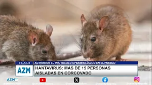 Hantavirus: más de 15 personas aisladas en Corcovado