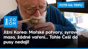 Žádné vaření, syrové ryby a potvory, které Češi do pusy nedají | Fotr na tripu Jižní Koreou