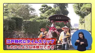 [Kago-Tan] Explore and Discover! Japan Heritage: "The Town Where Satsuma Samurai Lived" (Aired Au...