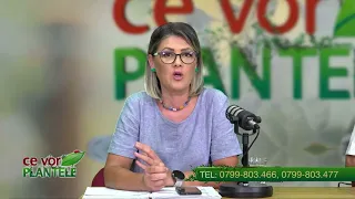 Cristina Ghibu and Horia Ghibu: Maintenance treatments for ornamental plants
