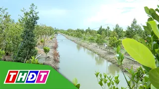 Dong Thap digitizes cadmium contamination risk map in cultivation areas | THDT