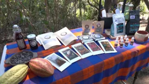 Hechos del Agro - Miel de chumelitas