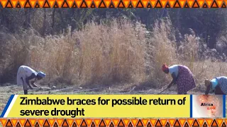 Zimbabwe braces for possible return of severe drought