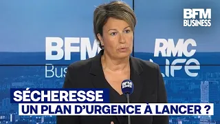Drought in France: "It's time to sit down at the table!" (Estelle Grelier)