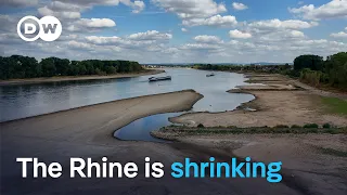 Why low Rhine water levels are a growing risk for Germany | DW News