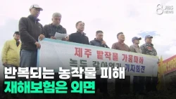 Recurring Crop Damage... Are Disaster Insurance Policies Turning a Blind Eye?/JIBS/Jeju/10.30.2026