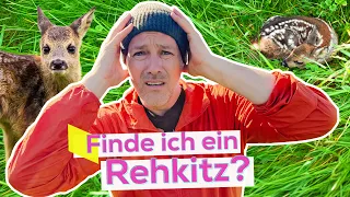 Rehkitze retten mit Drohnen | KiKA LIVE