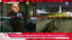 Large tree falls in the heart of downtown due to heavy rains