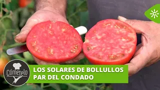 Cómetelo | Los “solares”, un punto de encuentro vecinal y de cultivo de productos de temporada