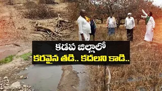 కడపలో కరవు కాటకం | ఎల్ నినో దెబ్బకు రైతుల కన్నీటి గాథ